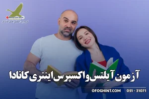 زبان اکسپرس اینتری
