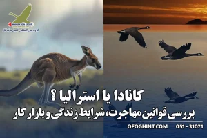 کانادا یا استرالیا